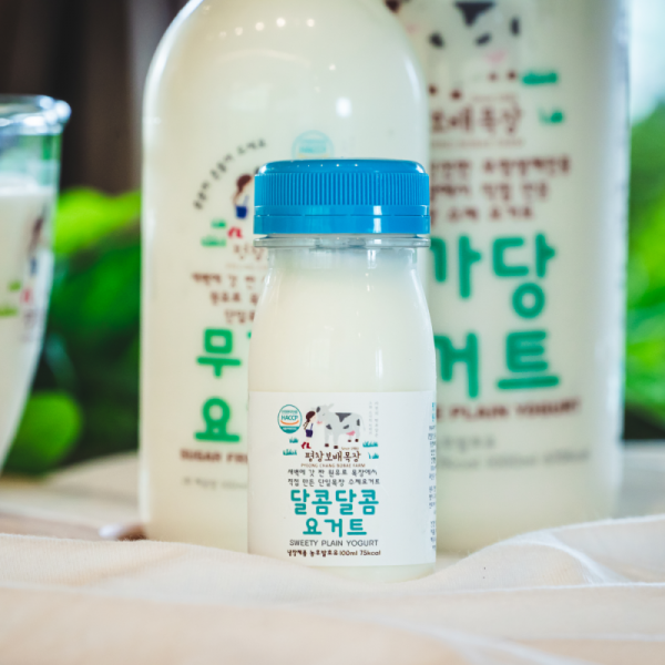 평창보배목장 달콤달콤요거트 100ml